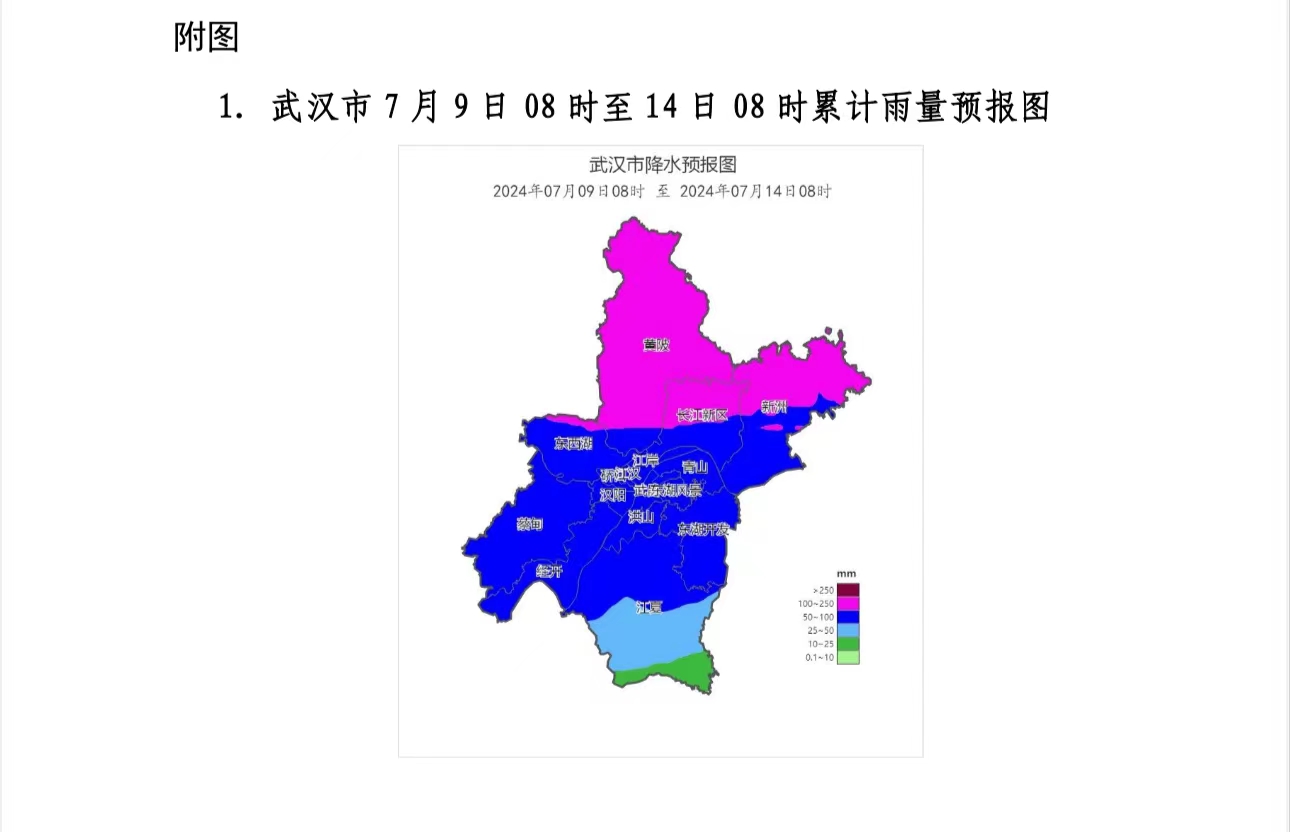 武汉市最新汛情分析报告