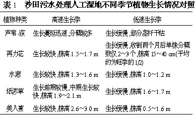 针刺伤最新概念及其影响