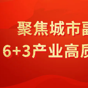 上海医疗最新消息，迈向高质量医疗服务的步伐加速