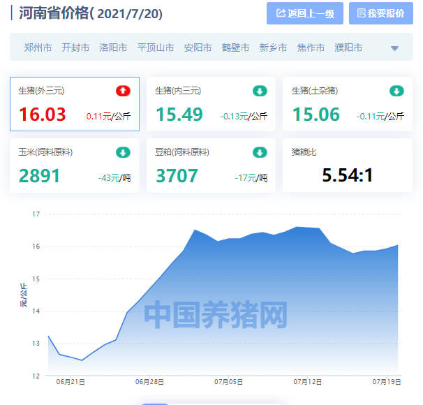 河南省生猪价格最新动态分析